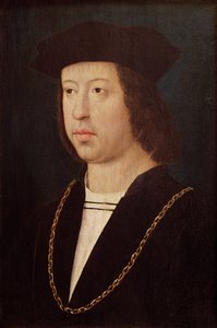 Retrato, de, ferdinand ii, (1452-1516), rei, de, espanha